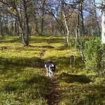 Lodge Ryen -