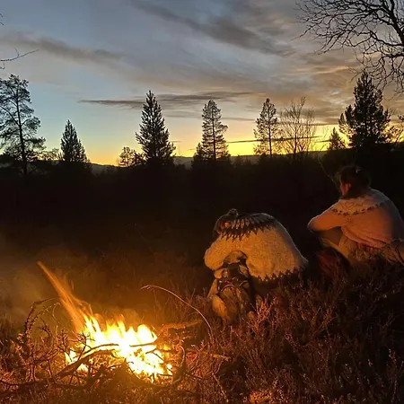 Ryen - Lodge Røros