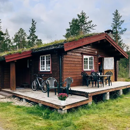 Ryen - Lodge Røros