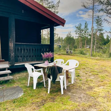 Lodge Ryen - *