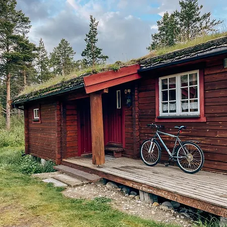 Lodge Ryen - *